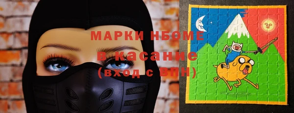 шишки Аркадак