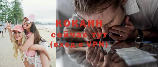 шишки Аркадак