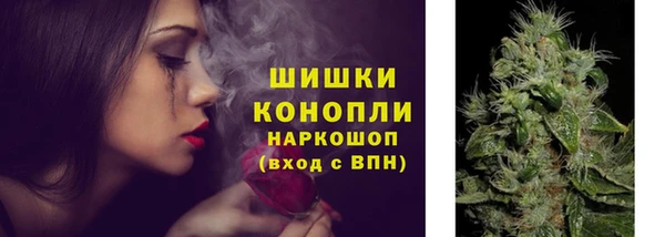 шишки Аркадак