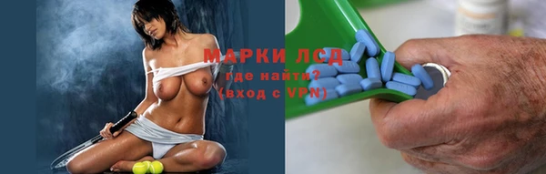 шишки Аркадак