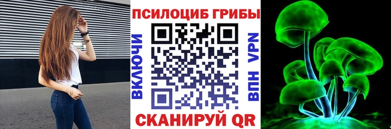 закладки Богородск Галлюциногенные грибы Psilocybe